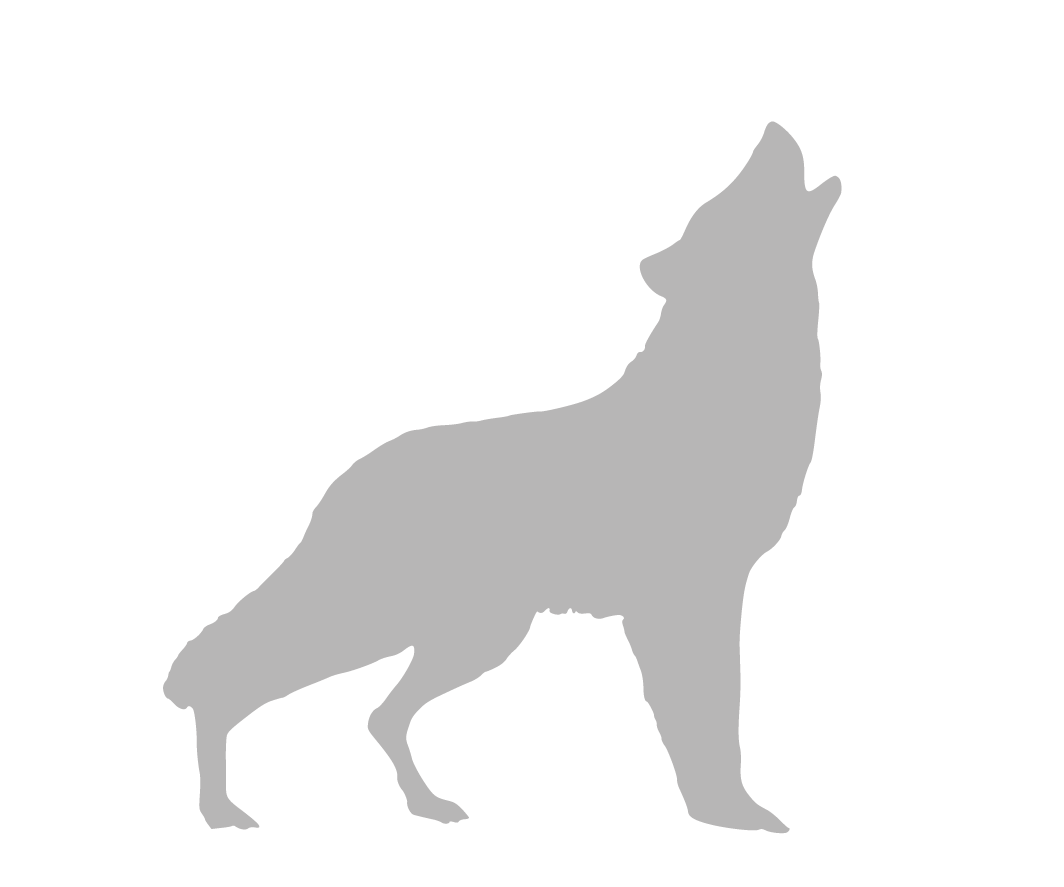 Charakter Wolf - sozial